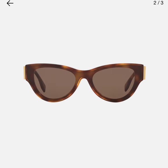 Fendi Brown Sunglasses with Gold Detail